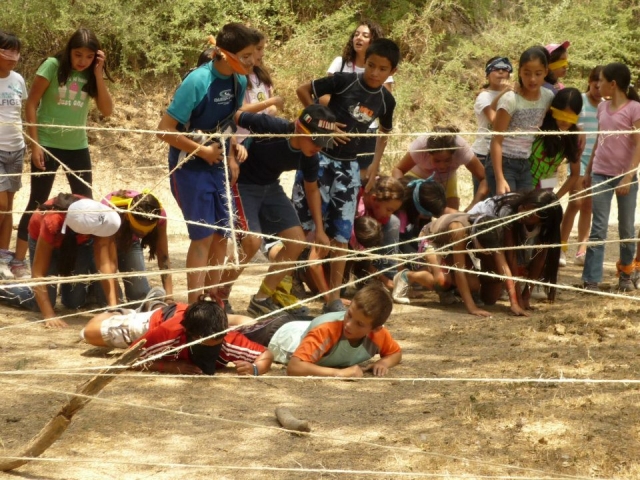 Juegos de habilidades